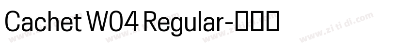 Cachet W04 Regular字体转换